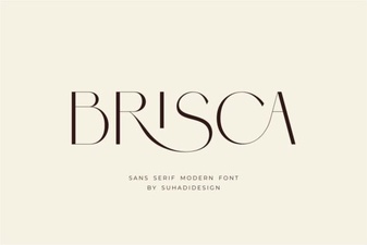 Brisca Font Design Ideas & Creative Projects